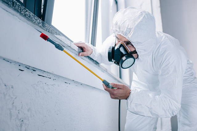 Pest Control Operative